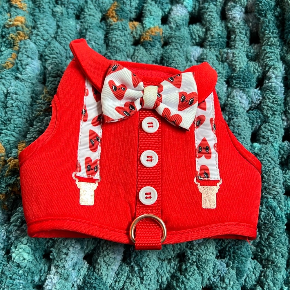 Size Extra Small, Valentines, Dog Harness